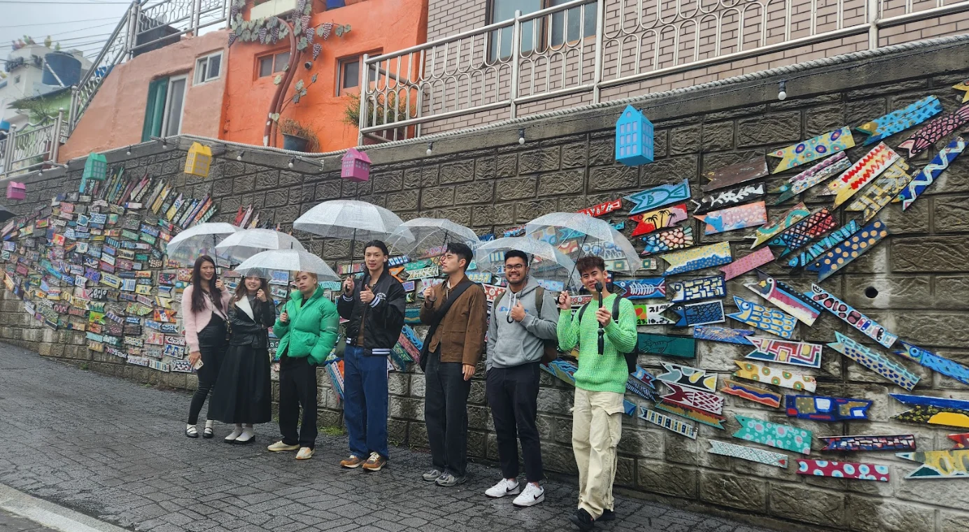 Harmonize 和谐之旅介绍照片