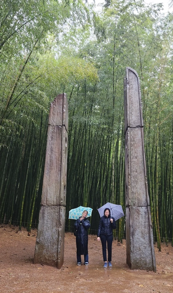 Photo from a JSB Korea tourism or wellness program